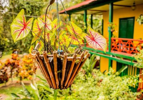 Hacienda Ceylán - Hacienda Cafeteraにある庭