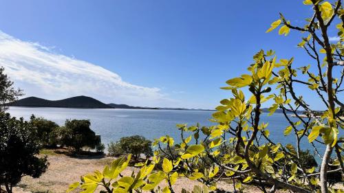 MAURA Premium Mobile Home