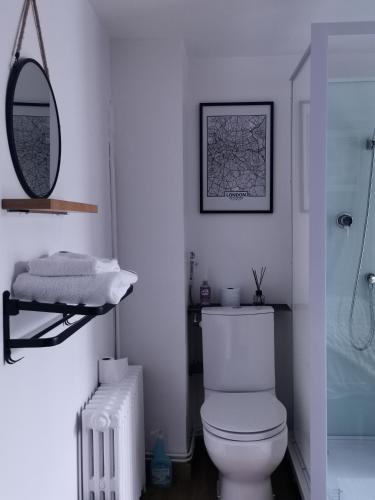 La salle de bains blanche est pourvue de toilettes et d'un miroir. dans l'établissement Cazama-Chambre indépendante, à Bouchemaine