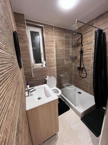 a bathroom with a sink and a shower and a toilet at Espace Moderne & Cosy hyper centre in Dunkerque
