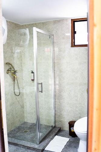a bathroom with a shower and a toilet at COMPLEX AGREMENT BELLAVI in Ocna-Mureşului