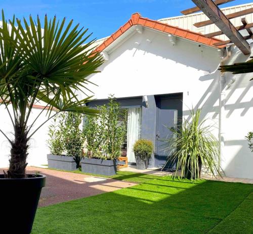 Le Palmier Studio - Private Studio