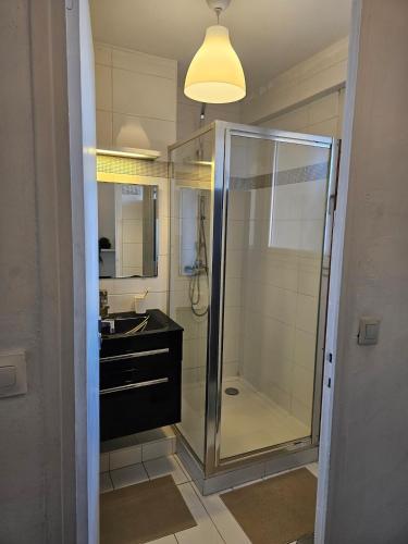 une salle de bain avec une douche en verre et un lavabo dans l'établissement Toulon - Sea View and Coeur de Ville, à Toulon