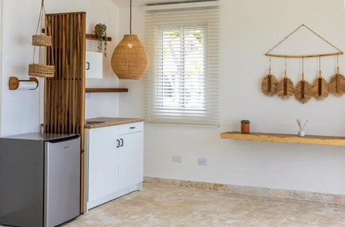 Dapur atau dapur kecil di Las Canas Beach Retreat