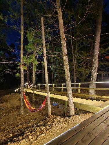 Φωτογραφία από το άλμπουμ του Cabañas Bosque marino σε Pichilemu