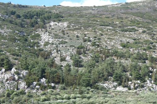 an image of a mountain with trees on it at Unique Apartment'KONAKI' in Archanes