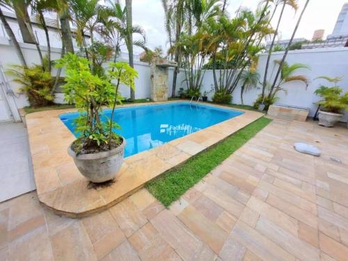 a swimming pool with a potted plant in a courtyard at Casa Enseada Guarujá in Guarujá