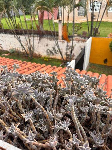 Κήπος έξω από το Casa com 4 quartos e hidro, garagem 4 carros