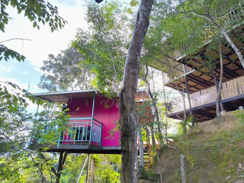 a tree house with a pink facade in the forest at Refugio Ecolodge Shapingo in Moyobamba