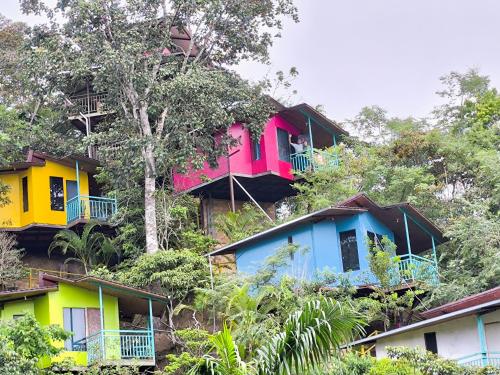 a group of houses on the side of a hill at Refugio Ecolodge Shapingo in Moyobamba
