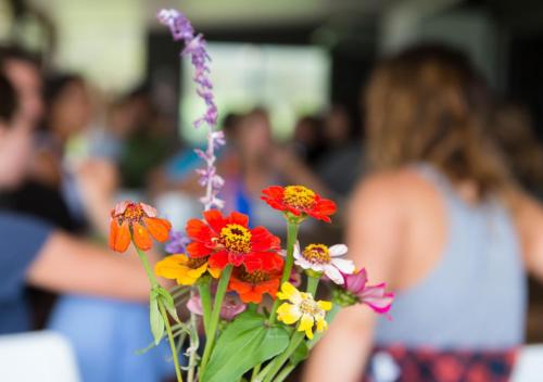 Khách lưu trú tại Byron Yoga Centre