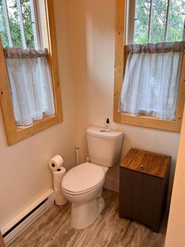a bathroom with a toilet and a window at Bozeman Bungalow Downtown in Bozeman