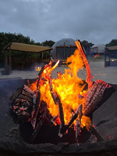 a fire in a parking lot with a crab on it at Domos Park in Mar de las Pampas