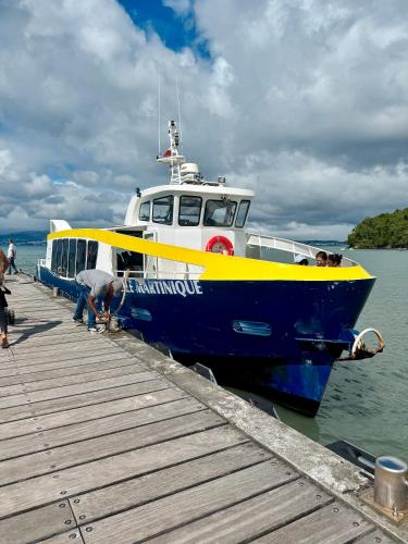 a blue and yellow boat parked at a dock at La villa Azur classée 3 étoiles Moderne et Confortable à deux pas de la plage de l Anse à l Ane Trois Îlets - Services Petit Dej sur demande in Les Trois-Îlets