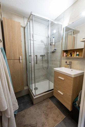 une salle de bain avec douche et lavabo dans l'établissement Studio au sauze au pied des pistes, à Enchastrayes