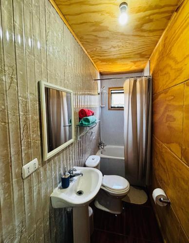 a bathroom with a sink and a toilet and a mirror at Cabañas Amanecer Sector Campo 1 in Castro