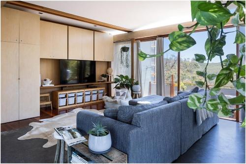 a living room with a blue couch and a tv at Salt Rock Boomerang Beach in Boomerang Beach
