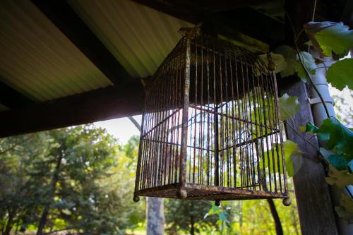 a bird cage hanging from a tree at Bettenays Margaret River in Metricup