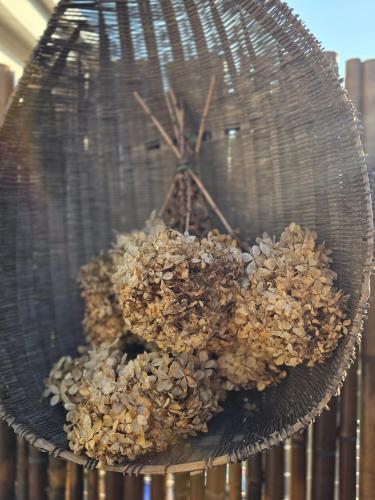 a basket filled with nuts and a clock at Detached house with a large yard, 15 minutes from the sea in Hwaseong in Hwaseong