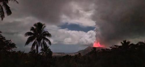 a volcano with a palm tree in the background at Lava view Bungalows in Isaka