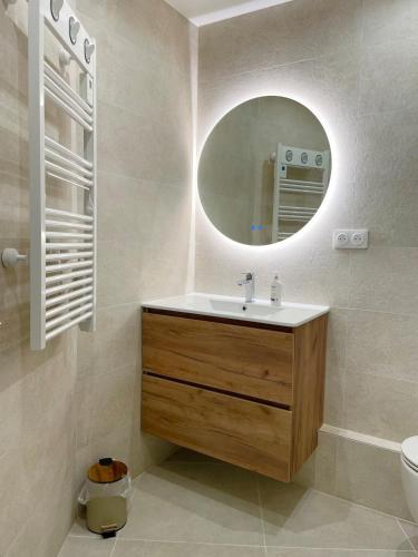 une salle de bain avec un lavabo et un miroir dans l'établissement Confortable studio 15 min Paris, à Saint-Maurice