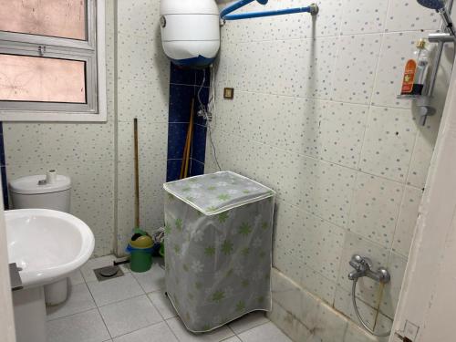 a small bathroom with a sink and a toilet at Maamoura Beach 1 in Alexandria
