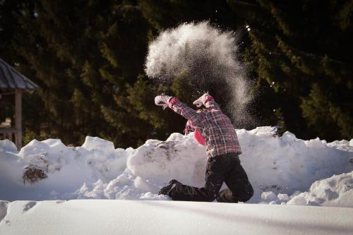 a person is standing in the snow at Gasthof Unterberger in Sankt Kathrein am Offenegg