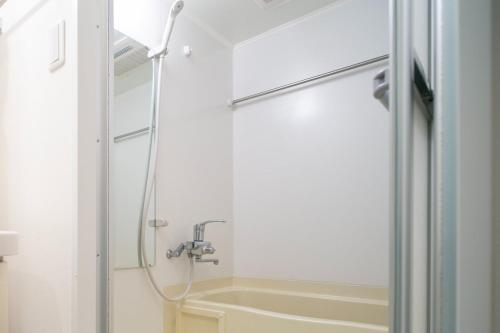 a shower in a bathroom with a sink at Daffitto Mitaka in Mitaka