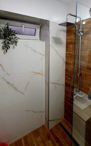 a bathroom with a glass shower and a sink at Central One Guesthouse in Reşiţa