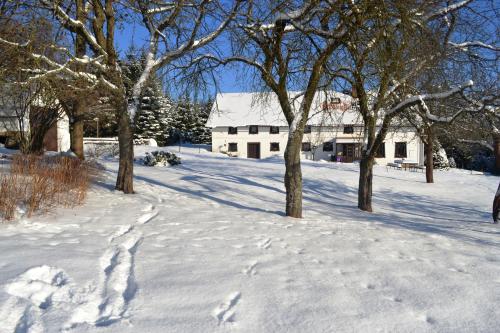 a snow covered yard with trees and a building at Chalupa pod Klepáčem in Králíky