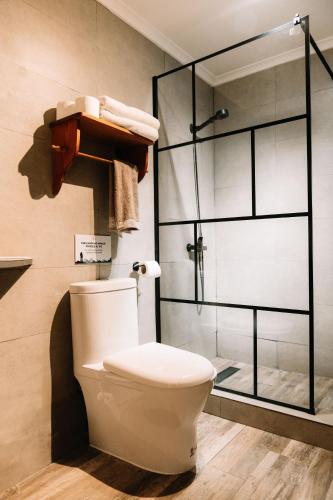 Un baño con inodoro y ducha de cristal. en Tranquilo Austral, en Puerto Tranquilo