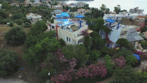 an aerial view of a house with trees and flowers at Heliotopos Apartments in Tolo