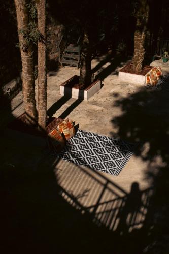 a shadow of a person standing next to a group of trees at Brij Atmanya Bhowali, Nainital, A Luxury Mountain Escape in Nainital