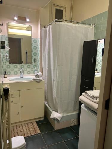 une salle de bain avec un rideau de douche et un lavabo dans l'établissement Appartement Paris Centre village Saint Martin, à Paris