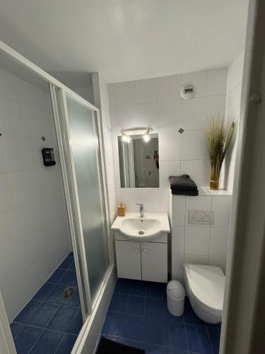 une salle de bain blanche avec un lavabo et des toilettes dans l'établissement Studio Voltaire avec parking commun gratuit dans la copropriété, à Ferney-Voltaire