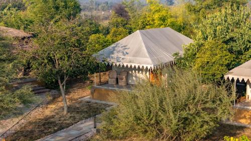 an aerial view of a tent in a forest at The Beehad Sariska in Tehla