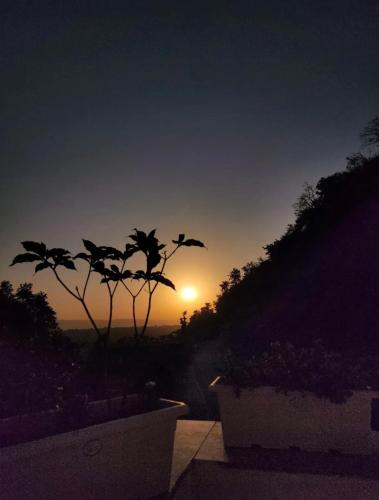 a sunset in the distance with a plant at Rootz in Dehradun