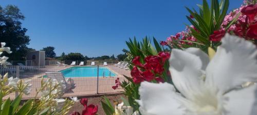 - une vue sur la piscine ornée de fleurs roses et blanches dans l'établissement Mini villa 