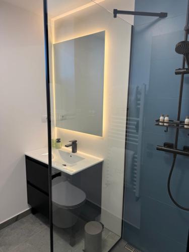 a bathroom with a sink and a shower at Marmotta Paltinis in Păltiniş