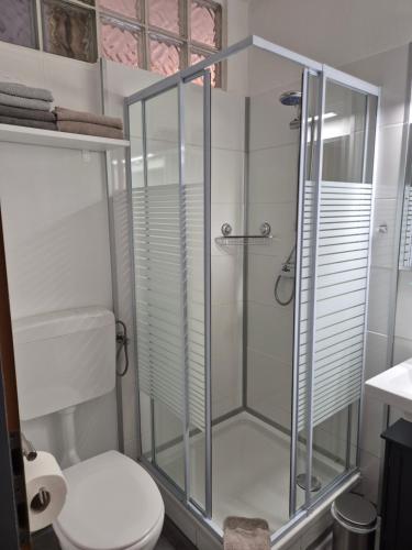 a bathroom with a shower and a toilet at Haus Zedlacher in Patergassen