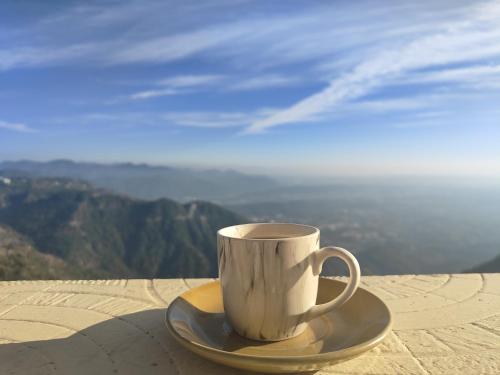 Příroda nedaleko vily