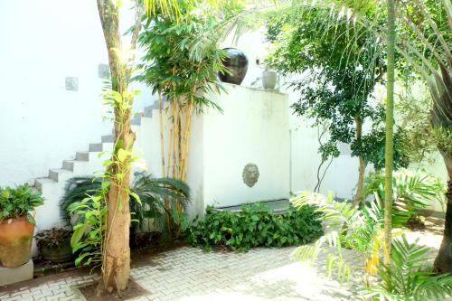 a courtyard with palm trees and a white wall at Orchard House Galle in Galle