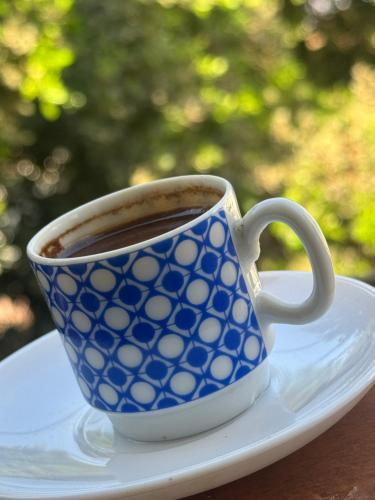 a blue and white cup of coffee sitting on a plate at SEO House in Aswan