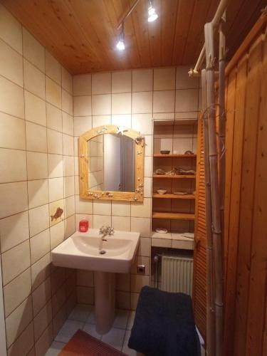 a bathroom with a sink and a mirror at Ferienhaus am Breitenbach-Stausee in Hilchenbach
