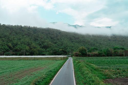 a road in the middle of a field with a mountain at The Peaceful Village 花蓮小和民宿 2090&1 in Pinghe