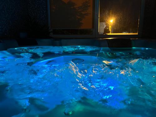 a jacuzzi tub with blue water in front of a window at Vila Crinul in Baile Felix