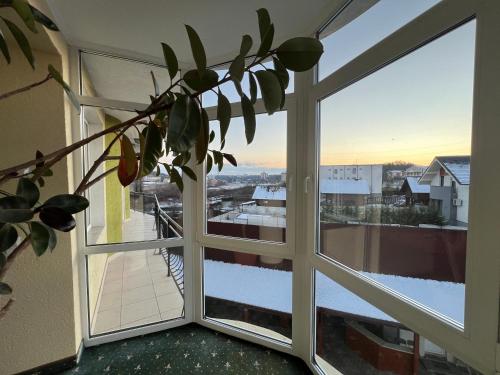 a plant in front of a window with a view at Vila Crinul in Baile Felix