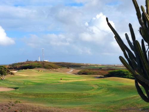 a view of a golf course with a cactus at Charming 2 BR Oasis in Oranjestad by Bocobay in Pos Abao