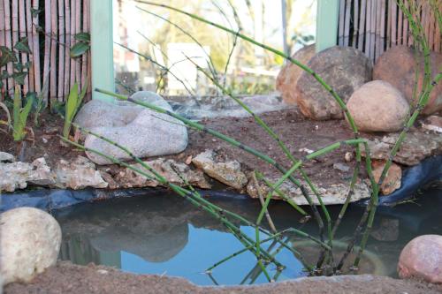 a pond in a garden with rocks andgrass at Gite Labradors De Bailly - Giverny in Saint-Pierre-la-Garenne