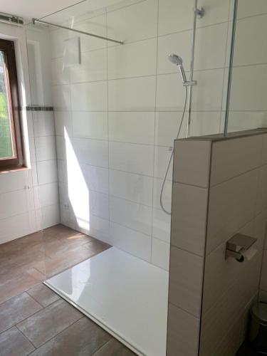 a bathroom with a shower with a glass door at Ferienwohnung Göpperl in Franking